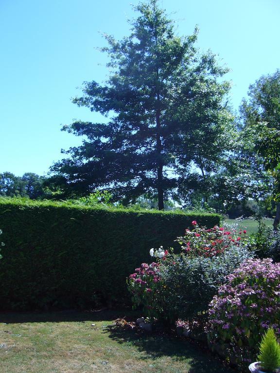 Bed and Breakfast Ferme De Dauval Mandeville-en-Bessin Zewnętrze zdjęcie